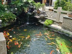 -顺德了能馆(虎门店)