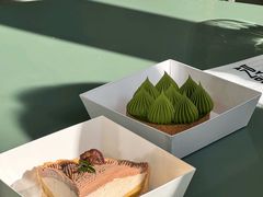 -猫里有甜