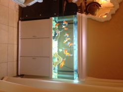 签到图片-构想时尚发型会所