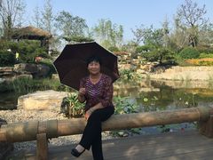 -武清南湖绿博园