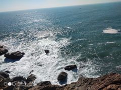 -广东惠东海龟国家级自然保护区