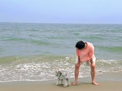 -秦皇岛阿尔卡迪亚滨海度假酒店