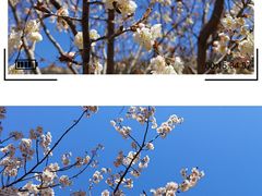 -崂山九水游览区