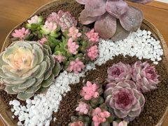 -双季花艺园艺市场(浦东店)