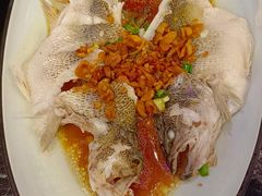 -新白鹿餐厅(百联中环店)