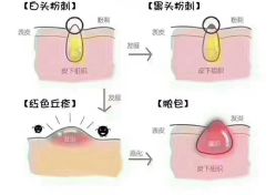 -Deeplus+韩国皮肤管理한국피부관리·C:Lab肌肤实验室