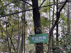 -溪霞怪石岭生态公园