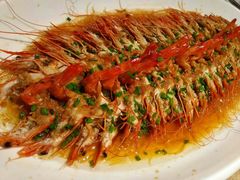 -上海中航虹桥机场泊悦酒店