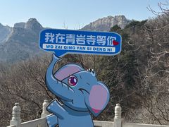 -青岩寺风景区