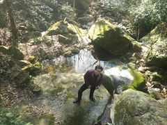 -花岩国家森林公园