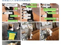 -秦汉胡同国学书院(川沙分馆)
