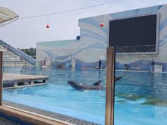 -北戴河圣蓝海洋公园