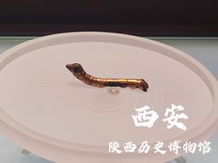 -陕西历史博物馆