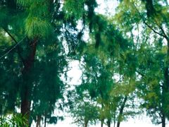 -巽寮印象美食部落餐厅·海鲜·地方特色菜(惠州体验店)