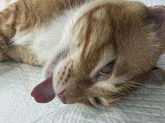 -拜鲁耶动物诊疗中心·宠家动物医院