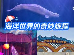 -大连圣亚海洋世界