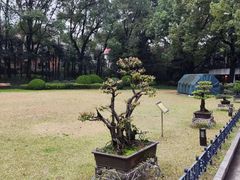 -申粤轩酒楼·三十年粤菜经典(丁香花园店)