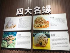 -贝壳王国博物馆