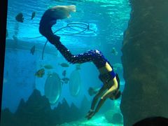 -北戴河圣蓝海洋公园