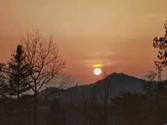 -上海辰山植物园