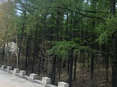 -白草畔自然风景区