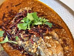 -大张烙馍村·美食地标(泉山店)