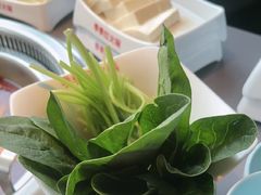 -季季红火锅(动壹店)