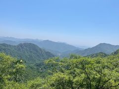 -大岭沟猕猴桃谷风景区