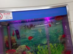 -雅悦齿科(顾村公园店)