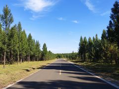 -塞罕坝国家级自然保护区