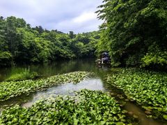 -天目湖山水园