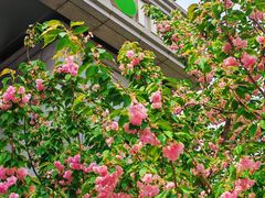 -PAGEONE(北京坊店)