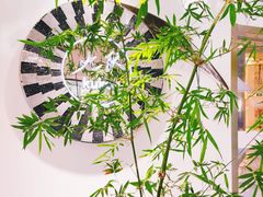 -九献创意菜·牛排馆(亮马河花园店)