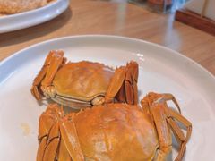-连鹭海鲜·海肠捞饭·海胆饭(星海店)
