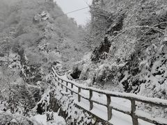 -秦岭风景区