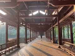 -重庆彩云湖湿地公园