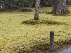 -三千院