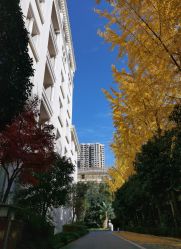 -汾阳花园酒店·宴会厅