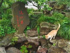 -无锡梅园公园