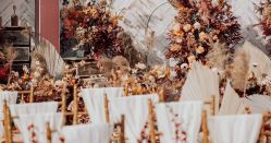 -明典婚礼策划·婚车租赁·婚纱摄影