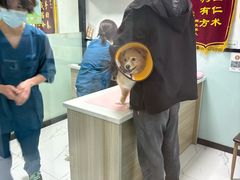 -嘉馨宠物医院·CT影像转诊·心脏科·犬猫全科诊疗中心(下沙大学城院区)