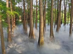 -东湖落雁景区