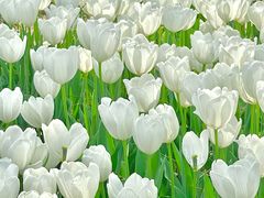 -玄武湖景区-情侣园游乐场