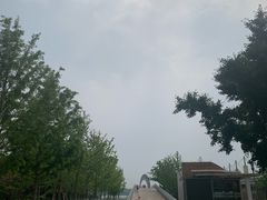 -大兴滨河森林公园