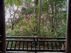 -上海佘山国家森林公园天马山园