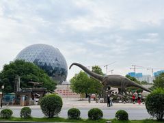 -陕西自然博物馆