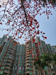 点击看大图 -思怡瑜伽·普拉提·减脂塑形