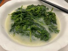 -五谷芳乳鸽王(海景店)