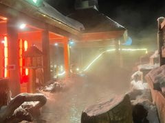 -汉拿山温泉度假酒店