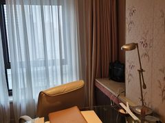 -电谷雅阁国际大酒店